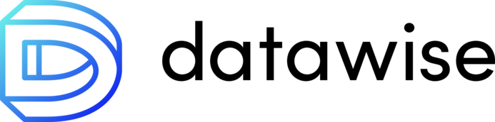 DataWise logo